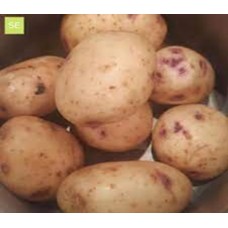 Irish Gold - Early Potatoes 2KG